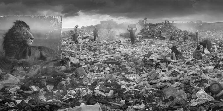 Nick Brandt’s panoramas put the clash between wildlife and urbanity in stark relief