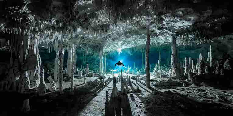 Dive into this gallery of the year’s best ocean photography