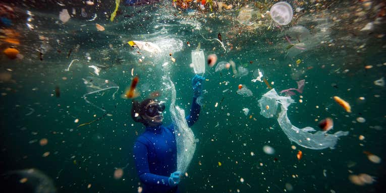 From humorous to heart-breaking, these are the best nature photos of 2021